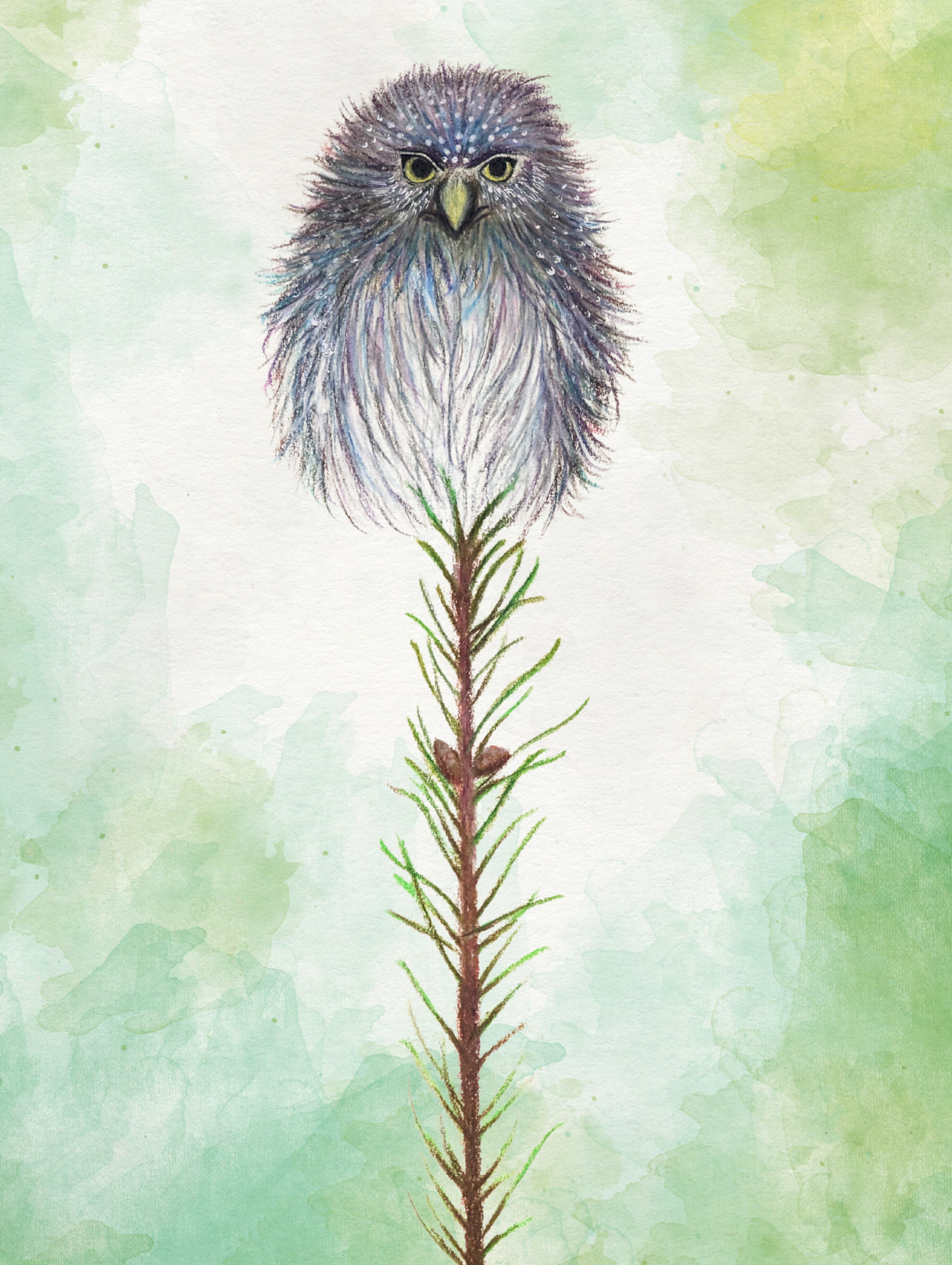 Grumpy Owlet Print