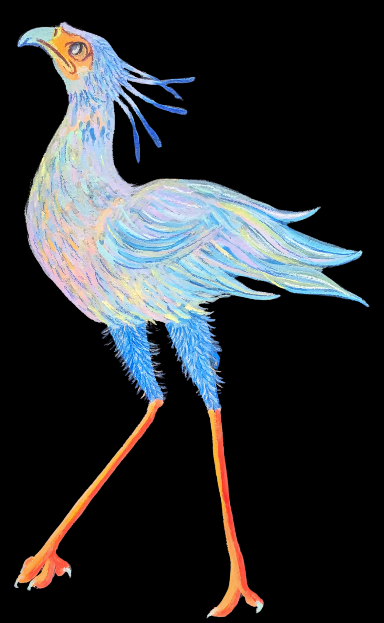 The Snooty Secretarybird Print